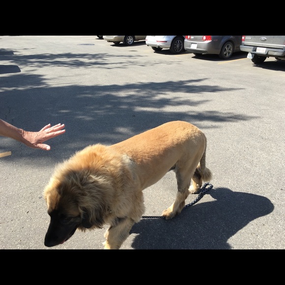 Meet your Posher, Karin - Picture 1 of 1